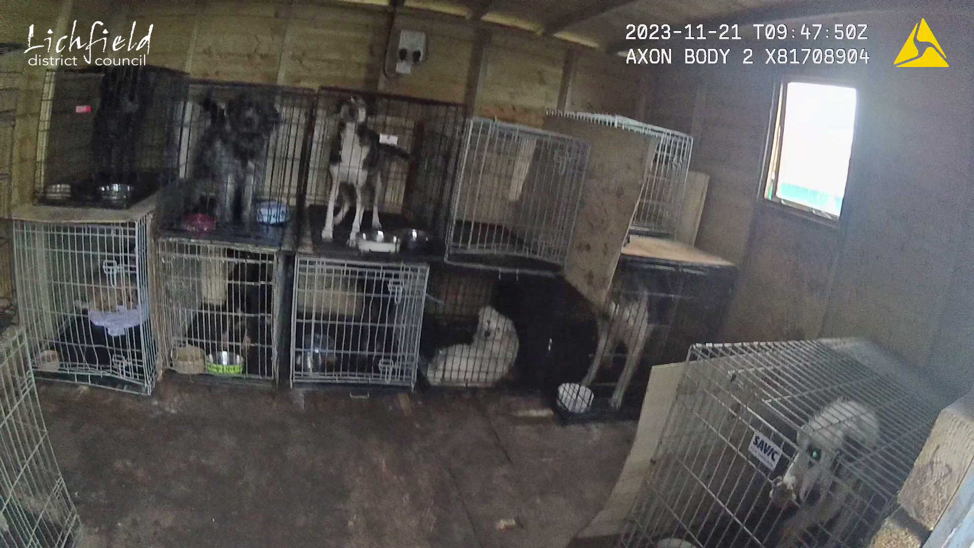 Dogs at one of the properties were captured on an Environmental Health Officer’s body worn video camera.