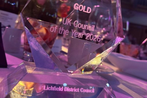 A picture of the UK Council of the Year award.
