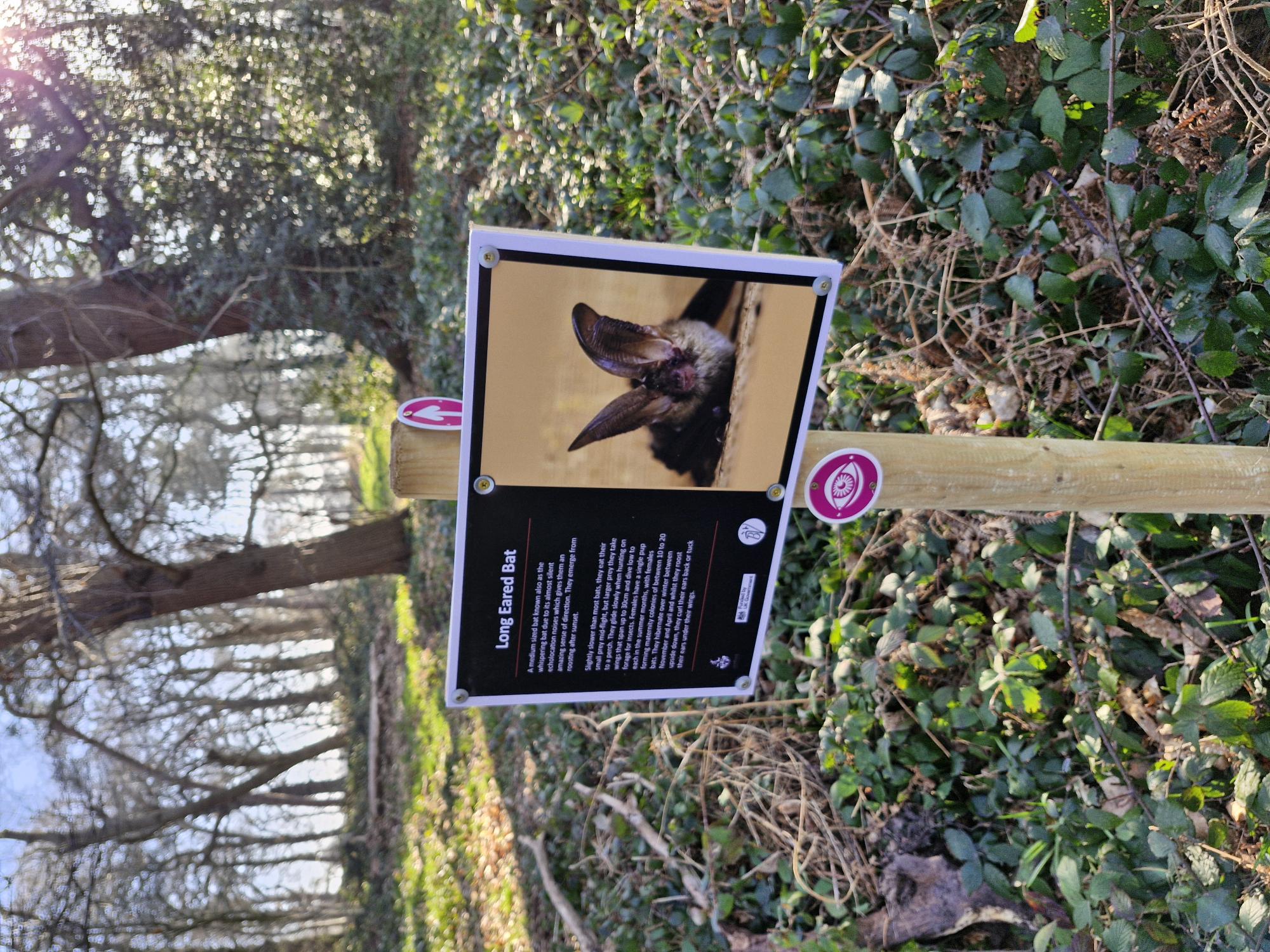 A picture of part of the new nature trail at Buzzards Valley Vineyard.