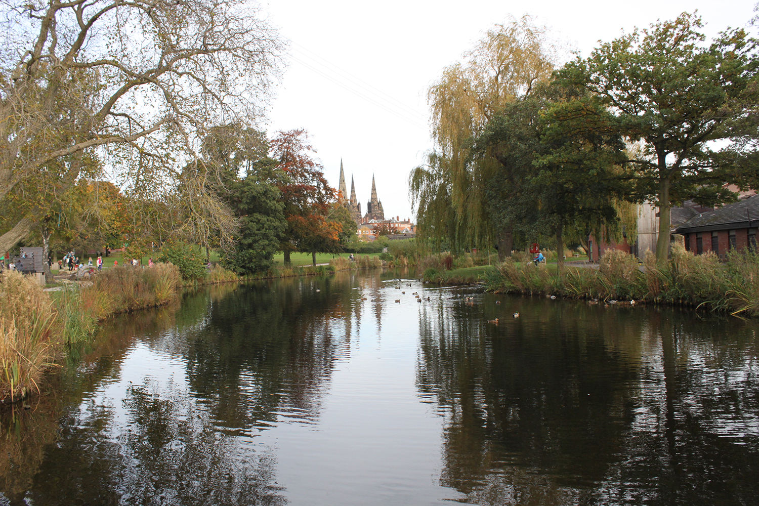A picture of Beacon Park.