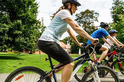 group of people riding their bikes