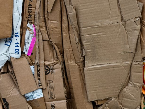 Cardboard