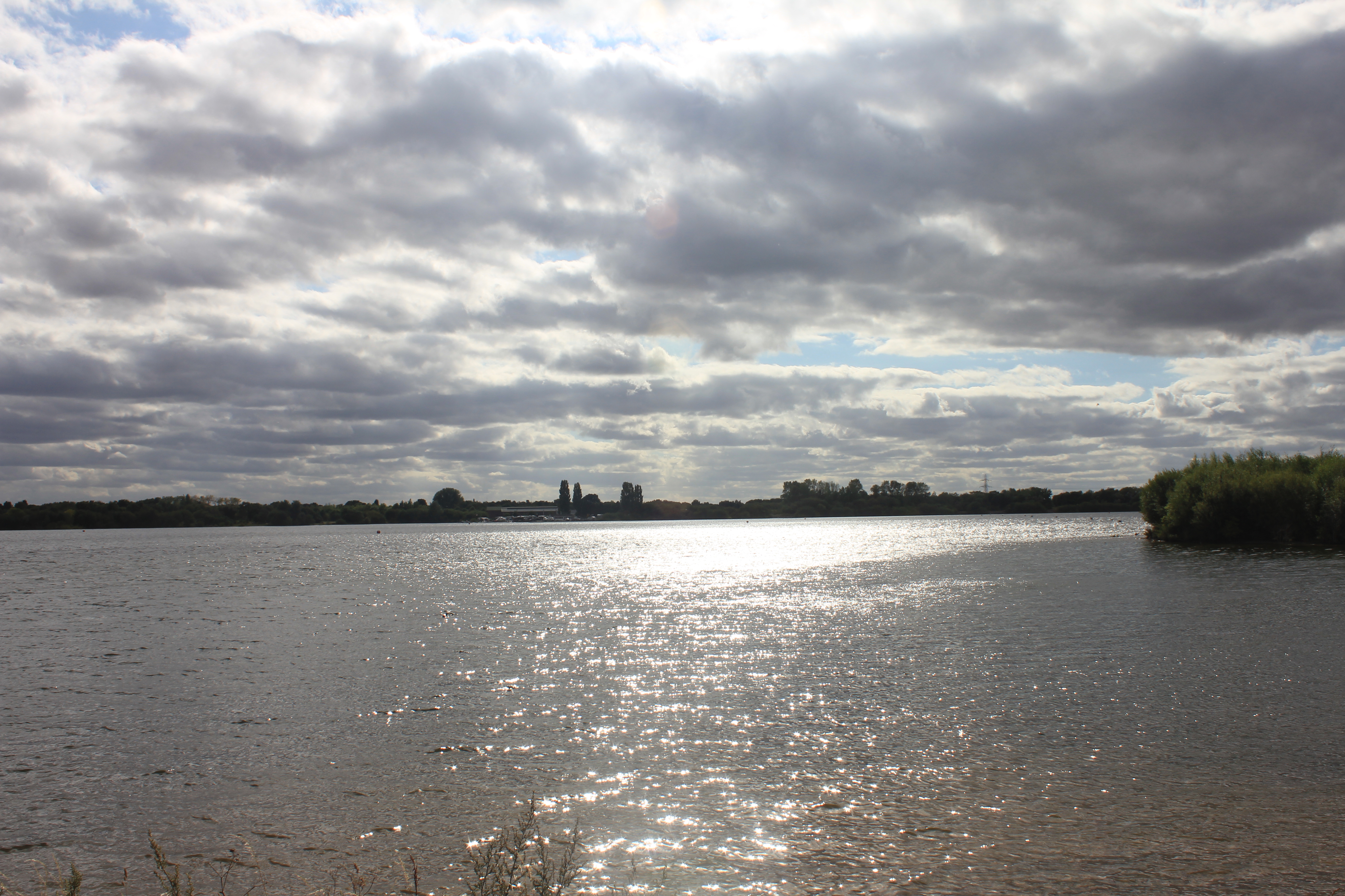 A picture of Chasewater where the Tormentil Mining Bee was rediscovered last year.