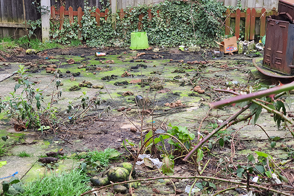 garden with lots of dog poos
