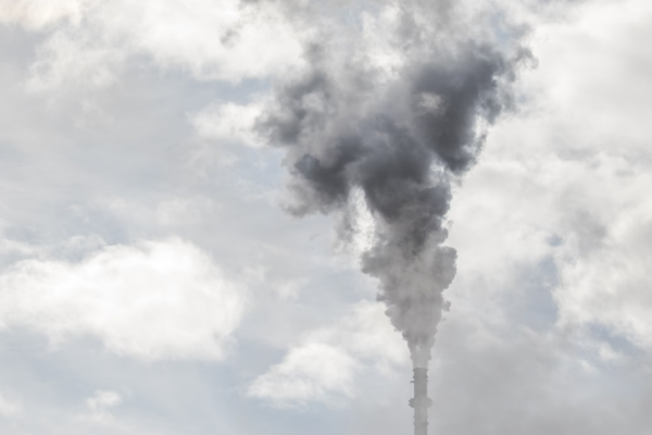 Environmental health