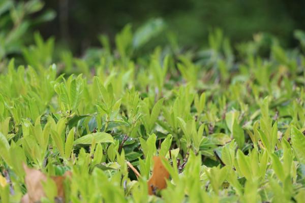 Habitat havens