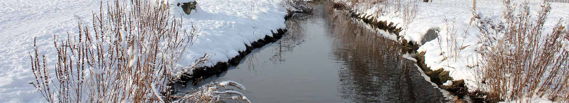 Leomansley Brook
