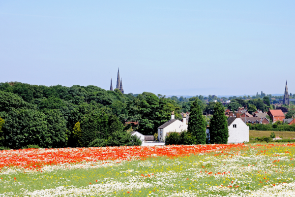 The sky is clear blue and the spires of Lichfield Cathedral are visible above green trees. In the foreground, there are white houses, poppies and green fields.