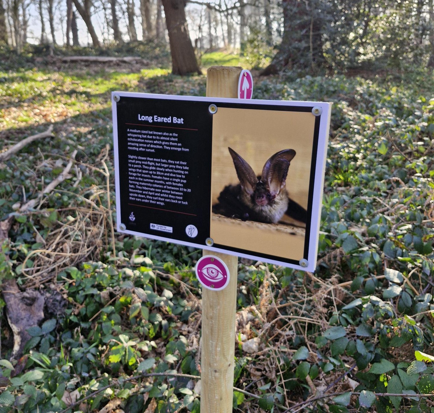 A picture of one of the information boards.