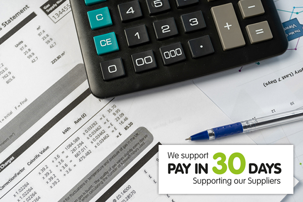 Pay in 30 days