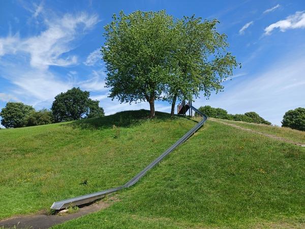 A tree and long slide on a hill
