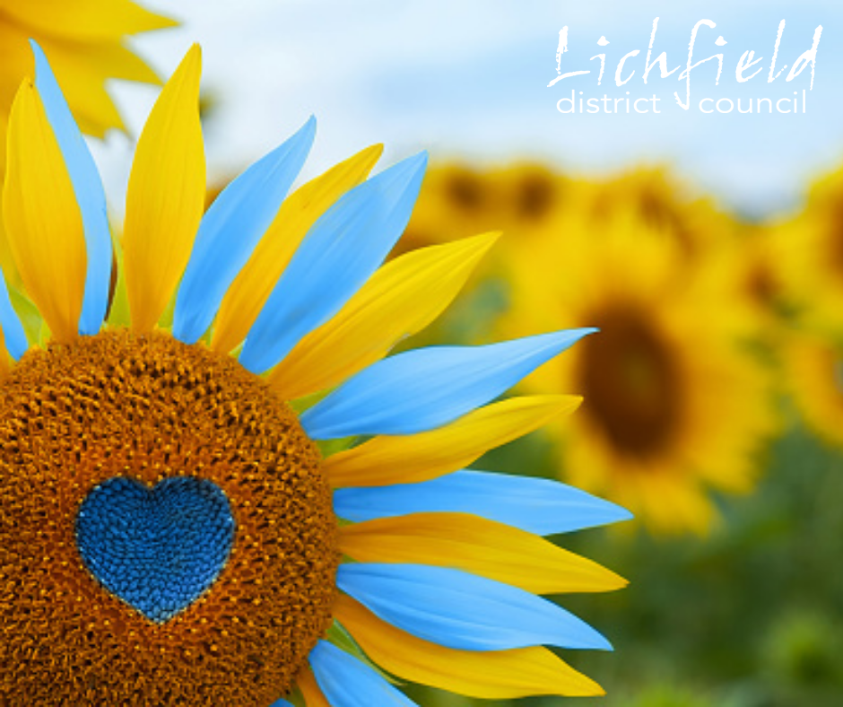 The sunflowers signify peace and empathy with the people of Ukraine