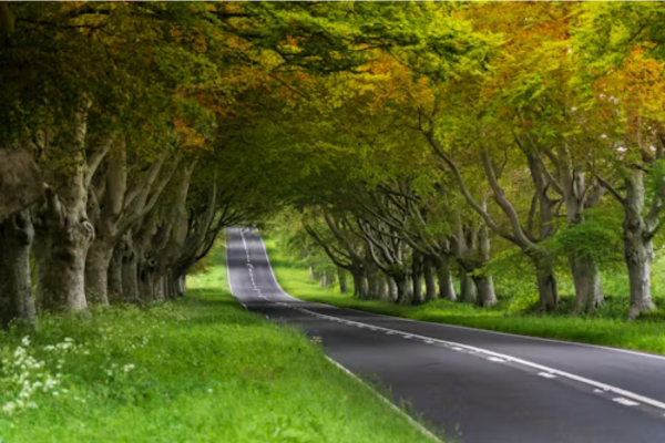 Road