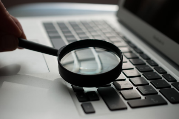 Scrutiny and overview