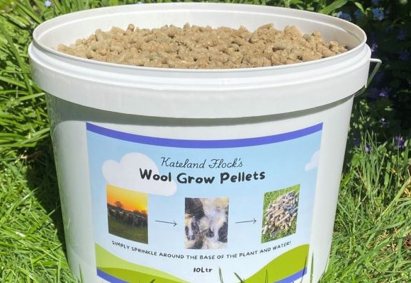 A photo of the wool pellets.