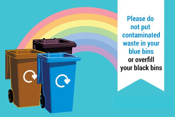 image of three bins with rainbow
