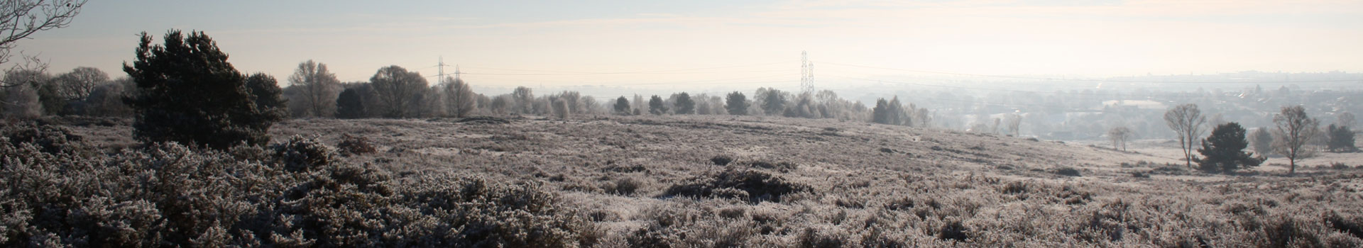 Gentleshaw Common
