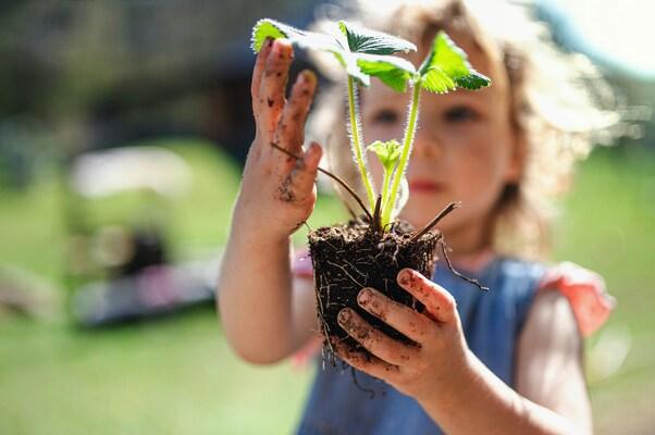 Child holding a small plant