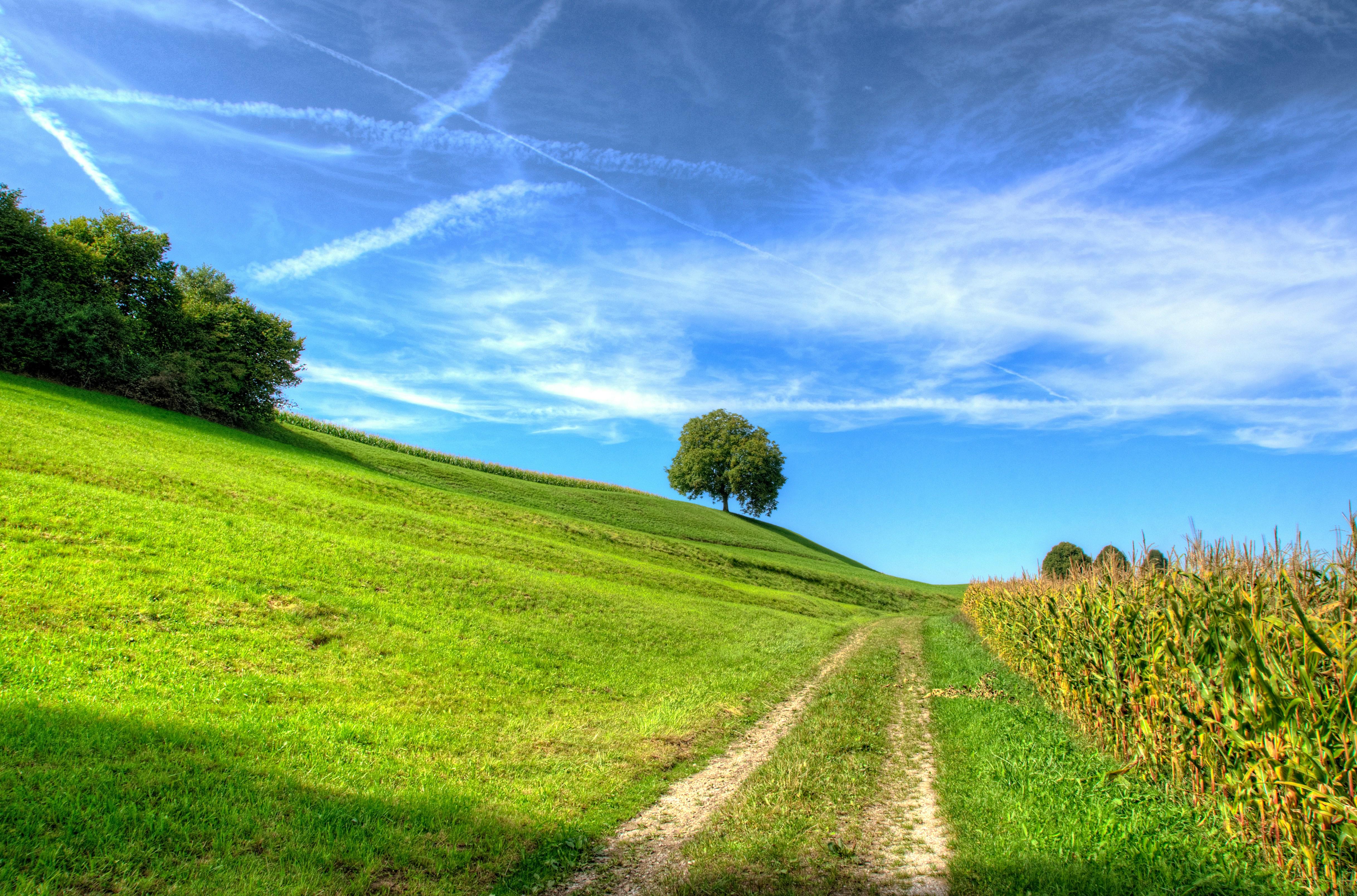 Green belt, field and sky unsplash