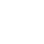 Icon: Capital strategy